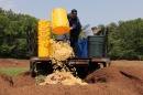 在金曼研究农场，一名主要研究餐饮服务工作人员将一个装有面条的黄色水桶倒出来.